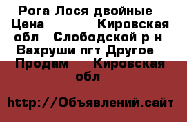 Рога Лося двойные › Цена ­ 5 000 - Кировская обл., Слободской р-н, Вахруши пгт Другое » Продам   . Кировская обл.